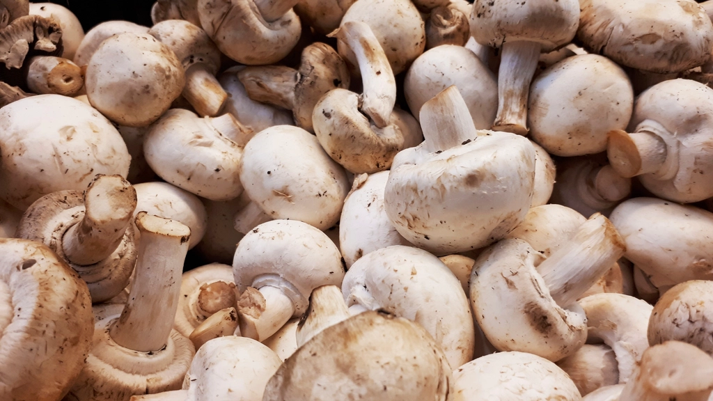 Button Mushrooms - The Workhorse of the Kitchen (image credits: rawpixel)