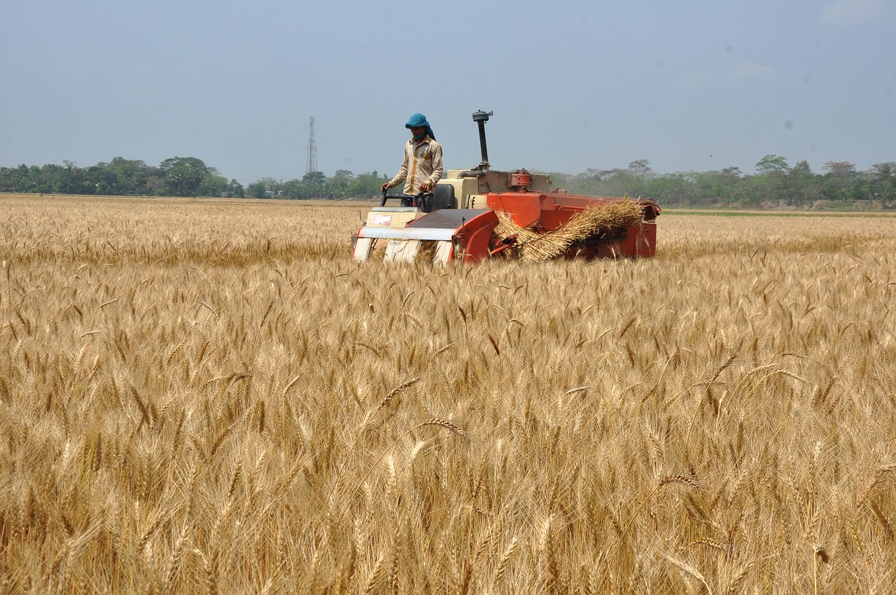 5. Shrinking Agricultural Workforce Threatens Production (image credits: pixabay)