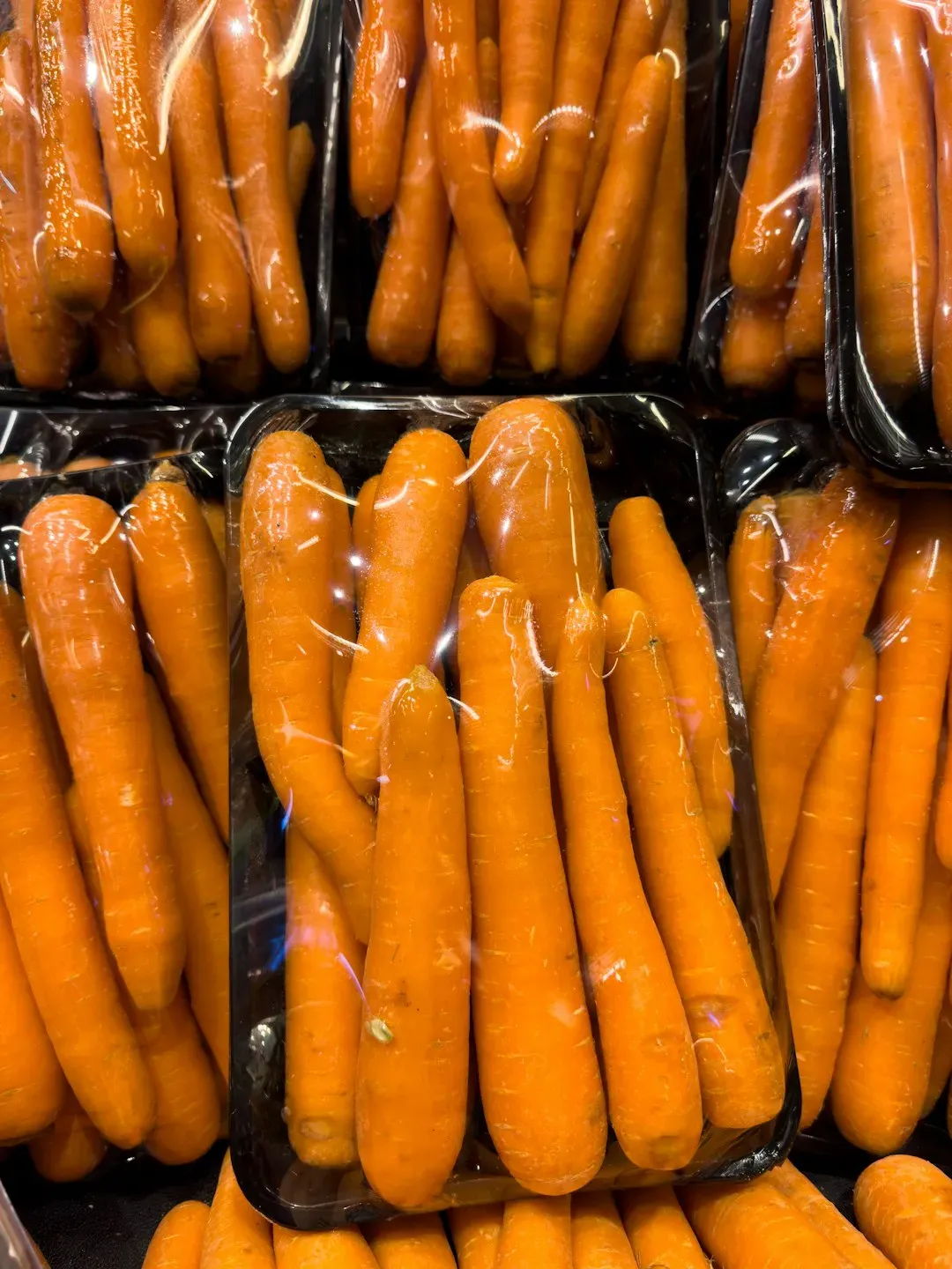 Plastic Packaging's Environmental Nightmare (Image Credits: Unsplash)