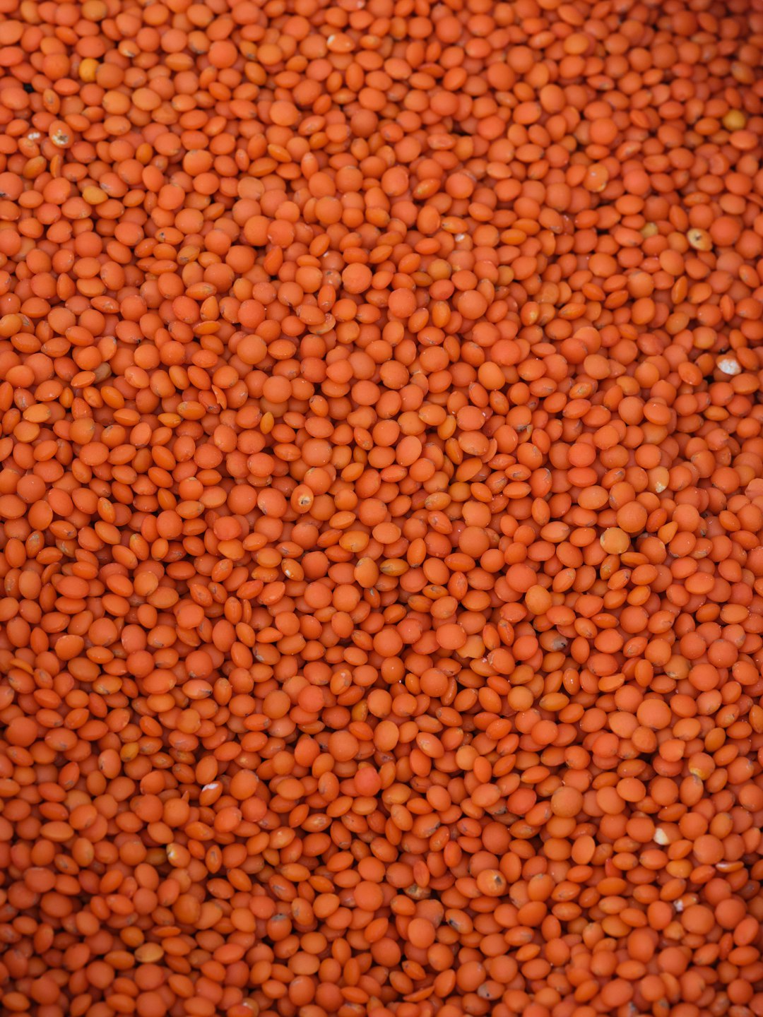 Lentils: The Fiber and Folate Powerhouse (image credits: unsplash)