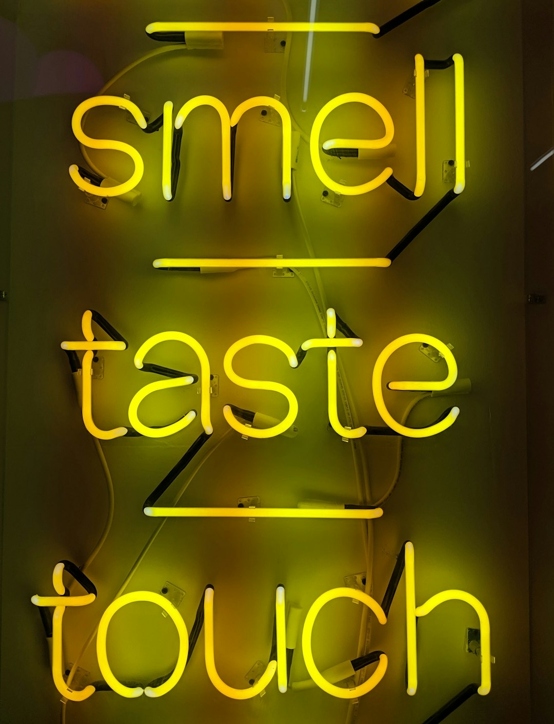 The Surprising Science Behind Taste Sensitivity (image credits: unsplash)