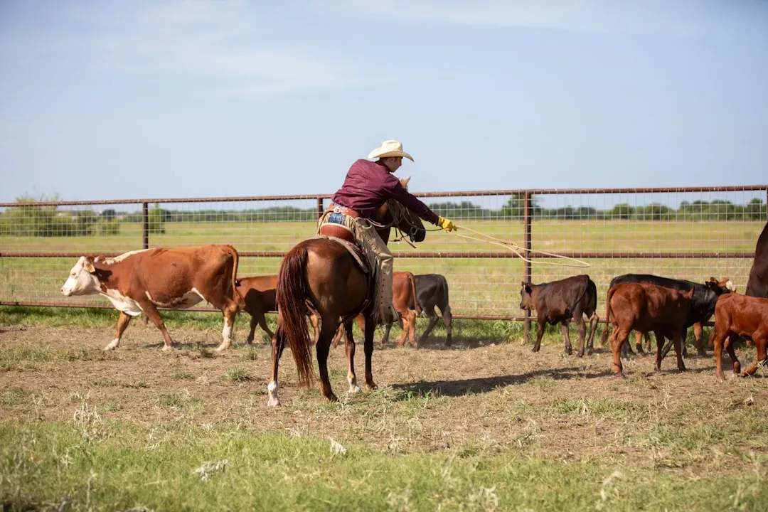 Can Regenerative Practices Really Offset Cattle Emissions? (Image Credits: Unsplash)
