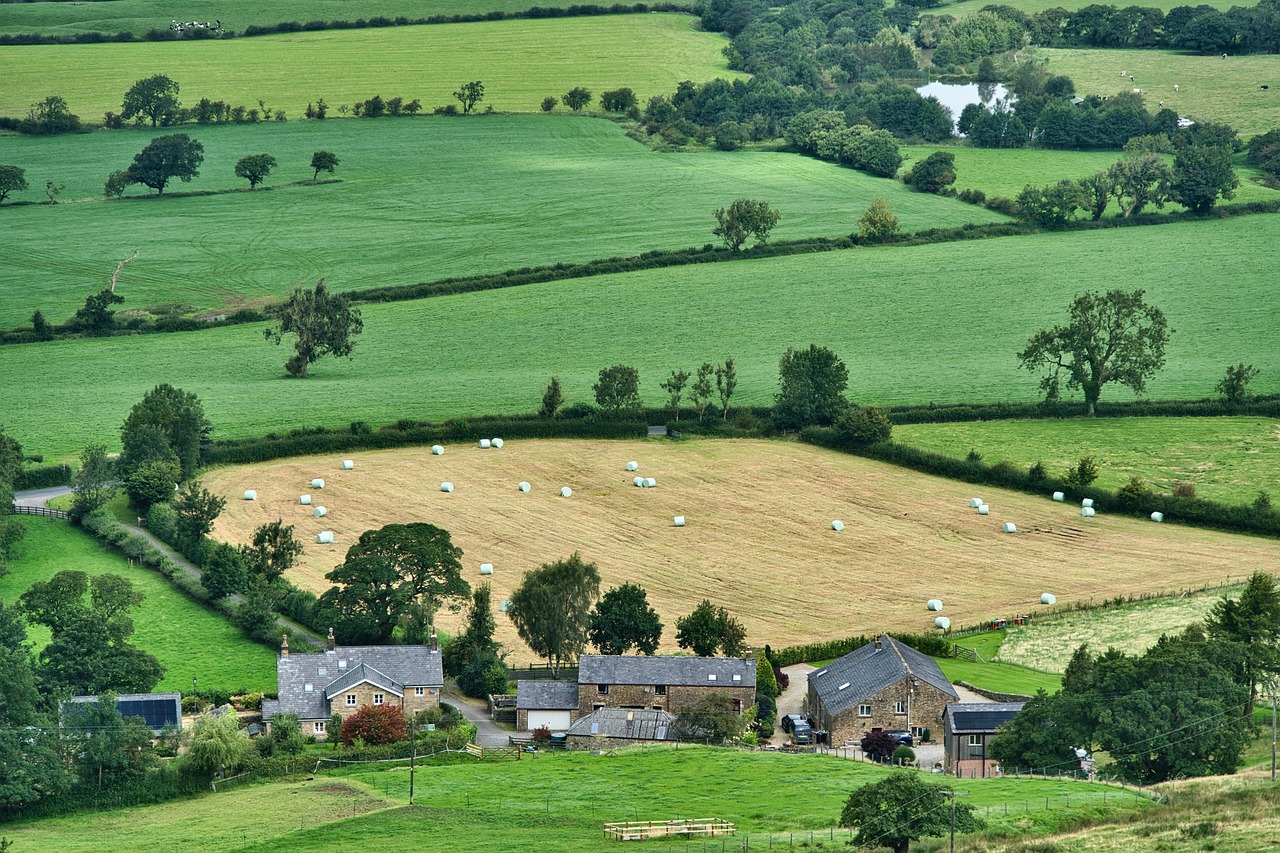Small Farms vs. Big Agriculture: A Battle for Survival (image credits: pixabay)