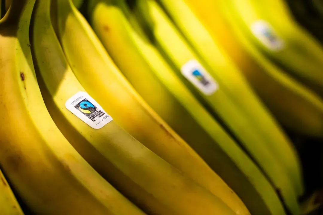 The Health Halo Effect and Buzzword Marketing (Image Credits: Unsplash)