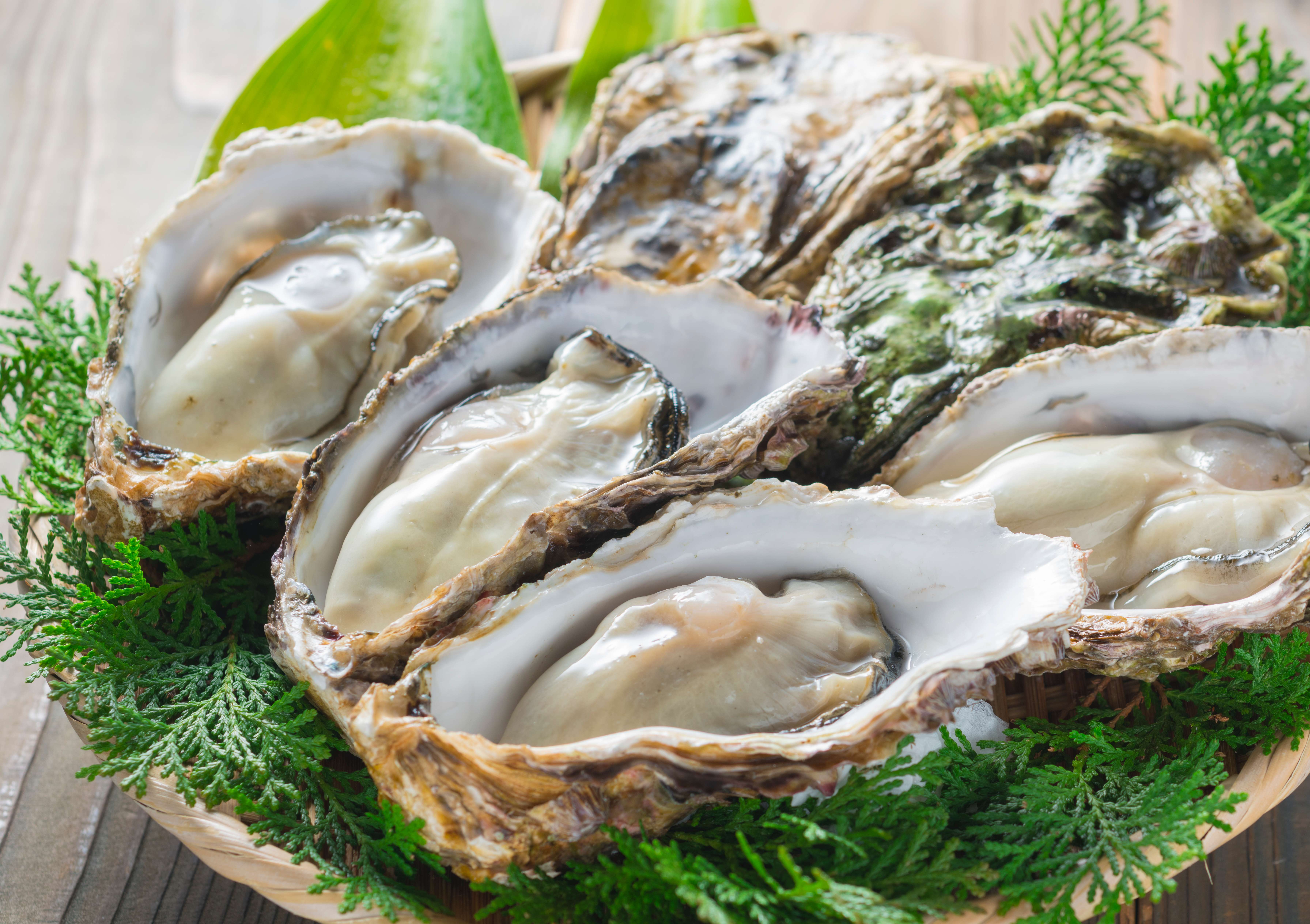 Oysters: The Zinc-Rich Secret for Growth (image credits: wikimedia)