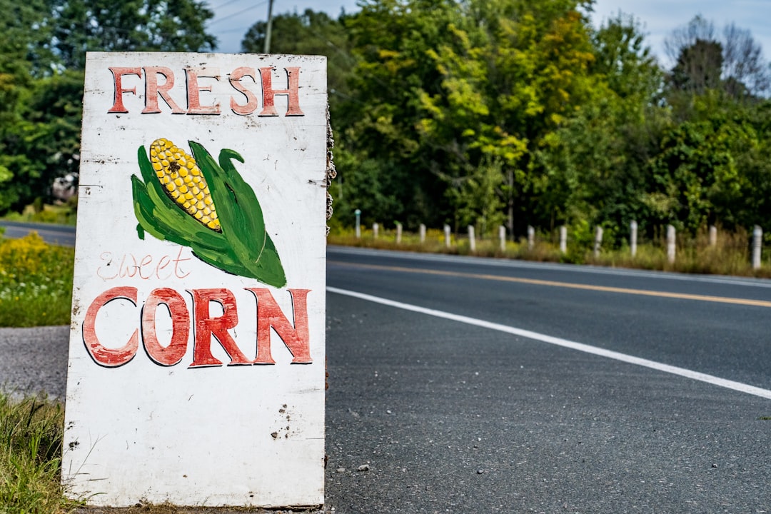 Industry Pushback and Political Tensions (image credits: unsplash)