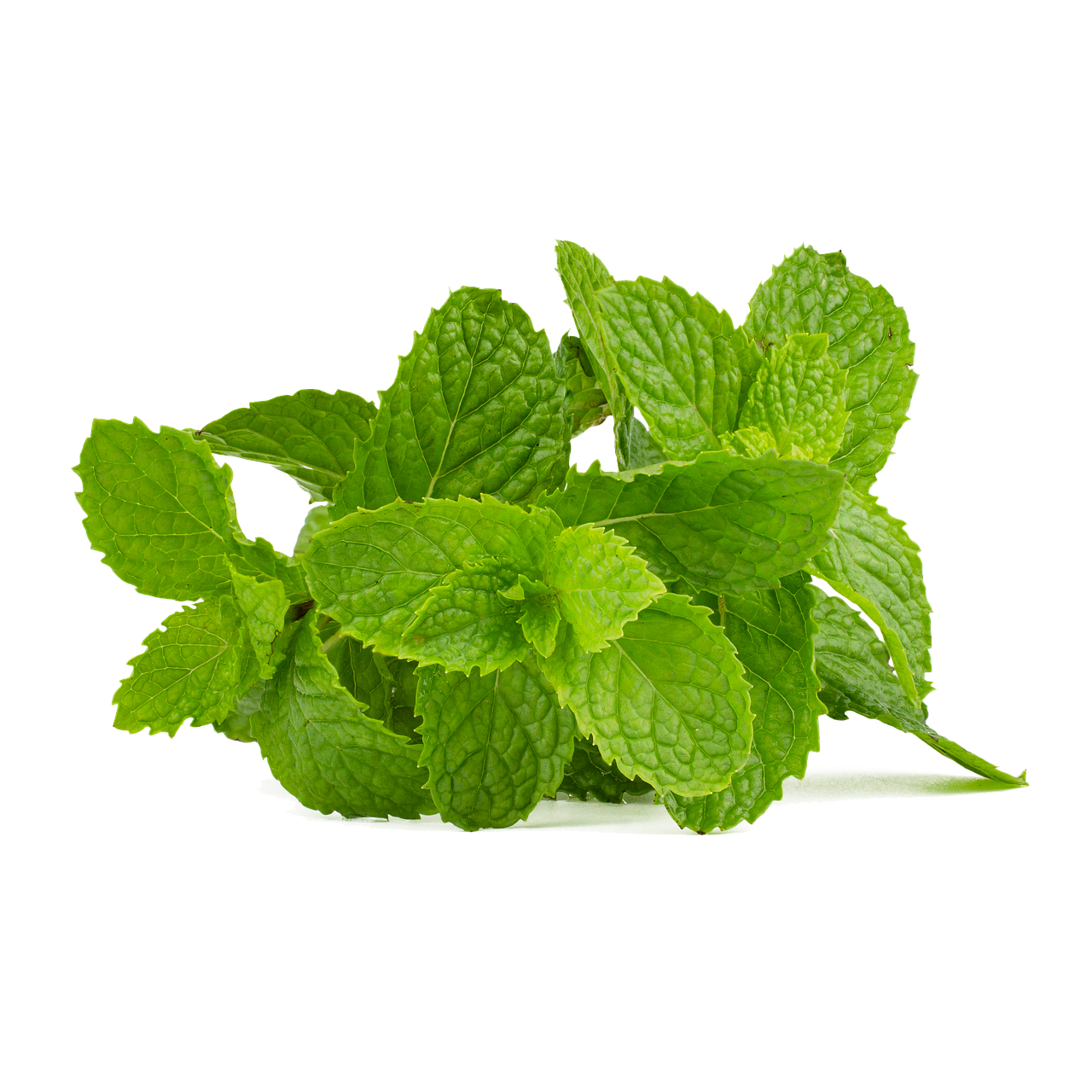 Mint: The Digestive Aid (image credits: pixabay)