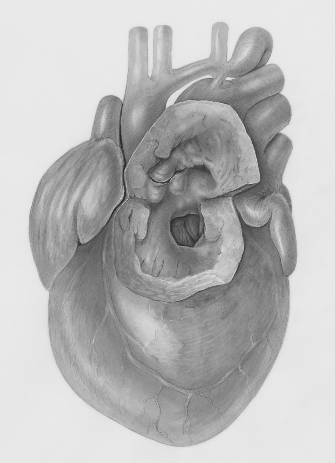 Irregular Heartbeat (Palpitations) (image credits: unsplash)
