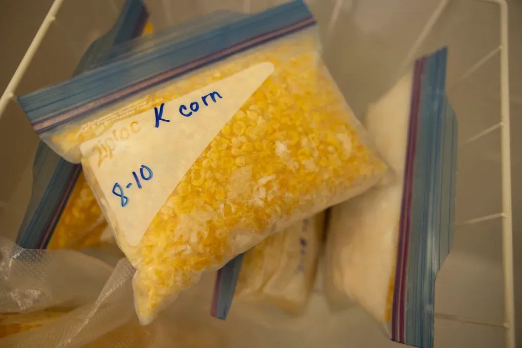 7. Frozen Corn (Image Credits: Flickr)