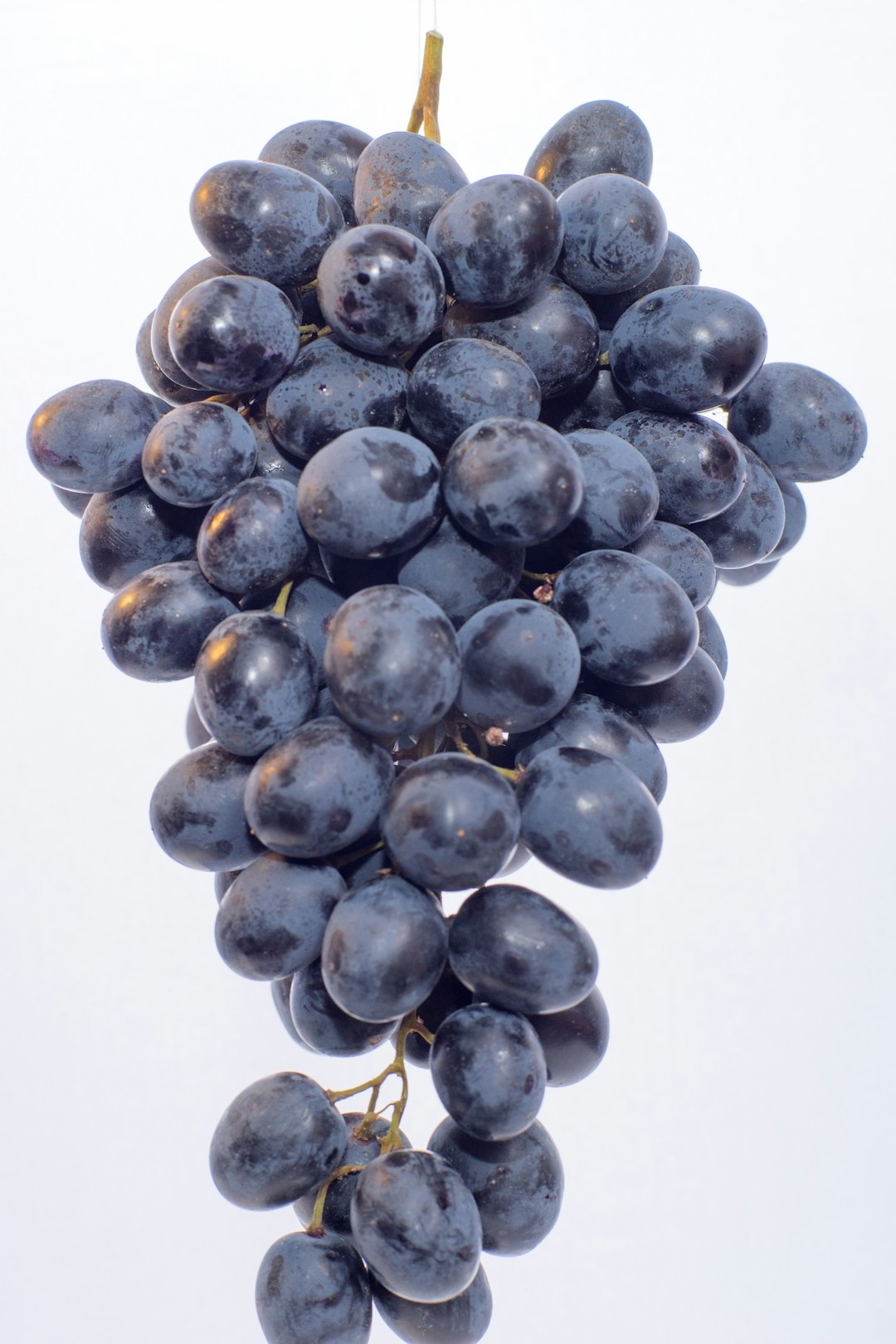 Grapes and Raisins (image credits: unsplash)