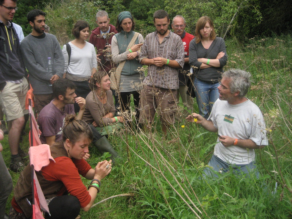 Learning the Wild Food Language (image credits: flickr)