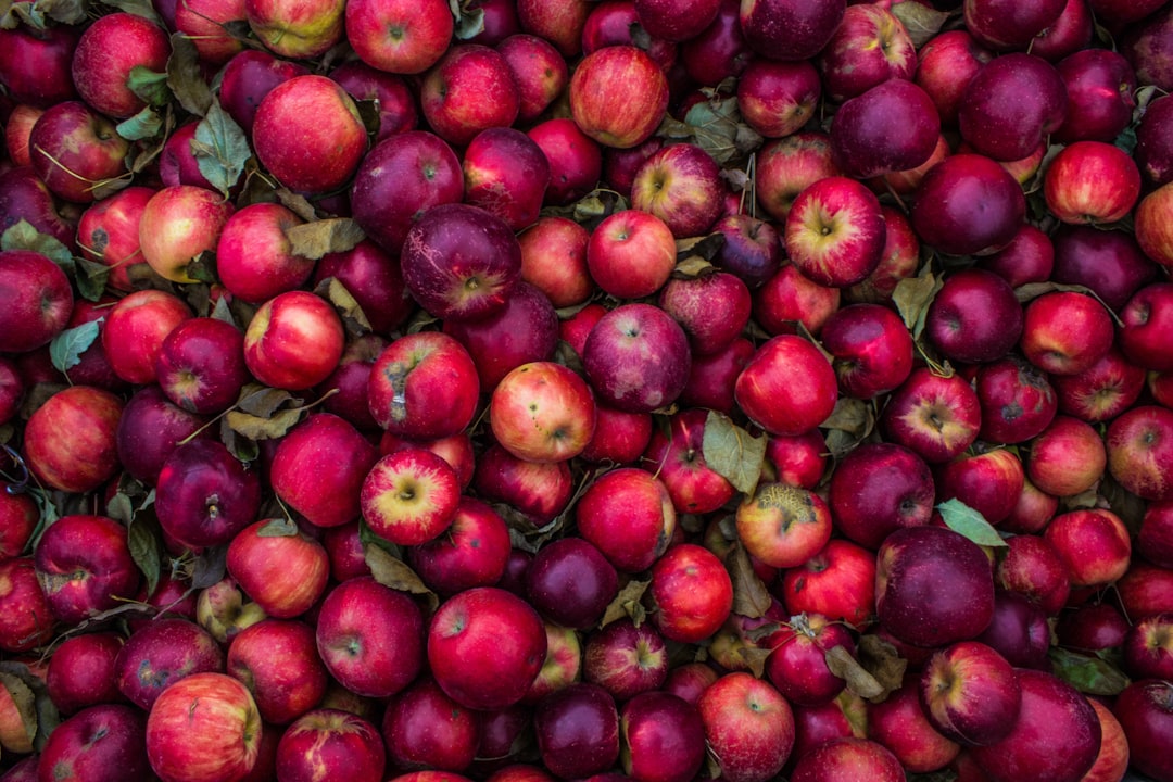 Apples: Everyday Fruit with Powerful Effects (image credits: unsplash)