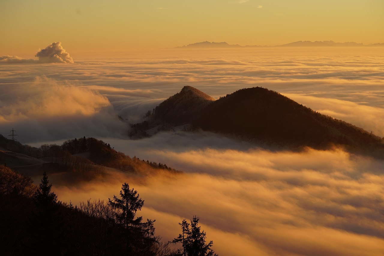 Brain Fog & Poor Focus (image credits: pixabay)