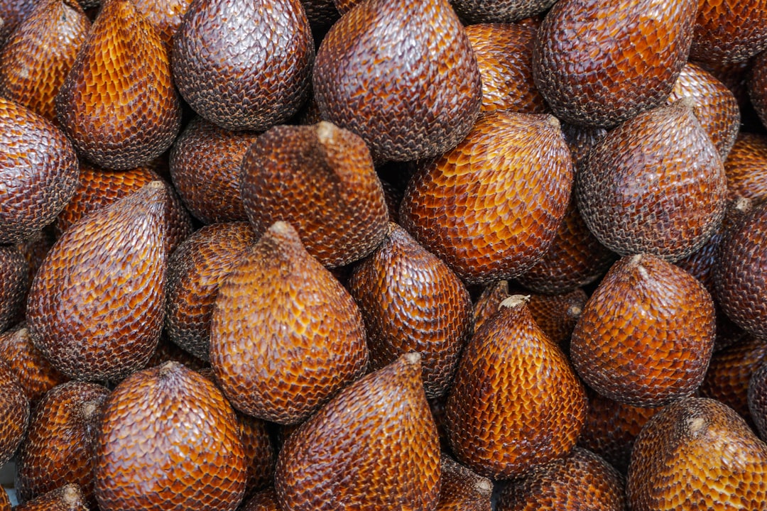 Salak: The Snake Fruit (image credits: unsplash)