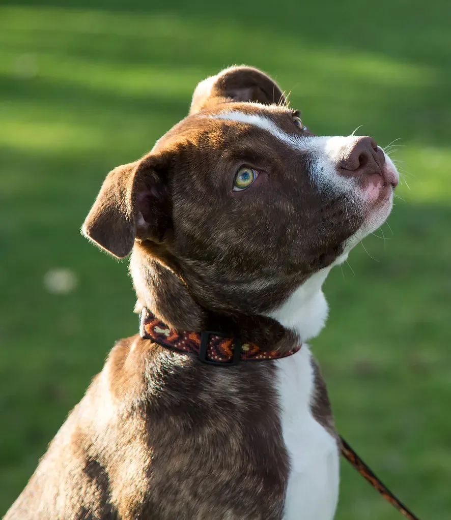 There's Actually Only One Acceptable Use (Image Credits: Flickr)