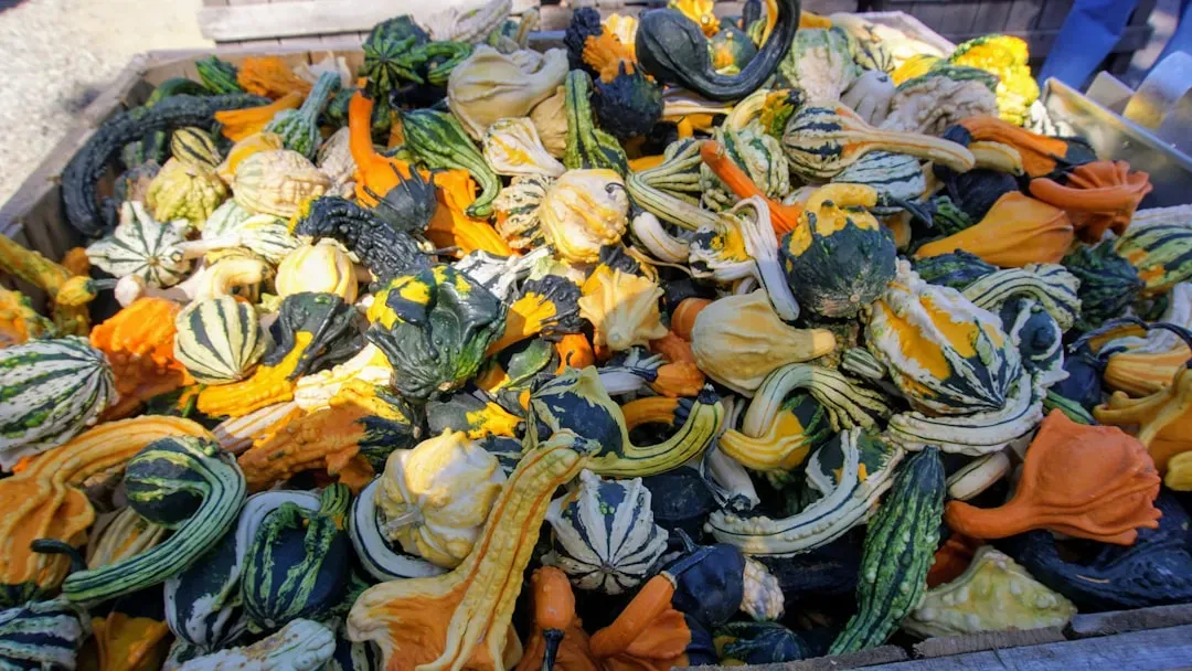 Transform Vegetable Scraps Into Flavor Bombs (Image Credits: Unsplash)