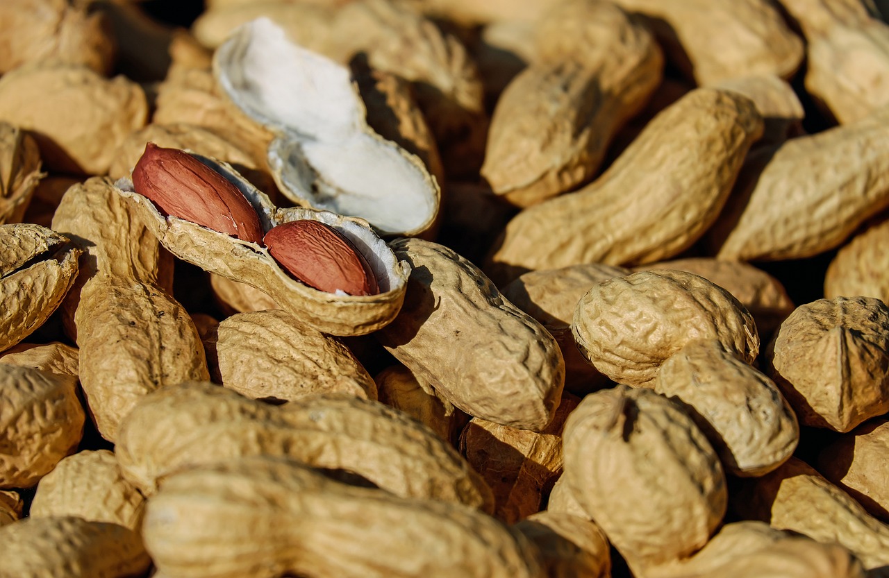 1. Peanuts (Technically a Legume, But Still a Winner) (image credits: pixabay)