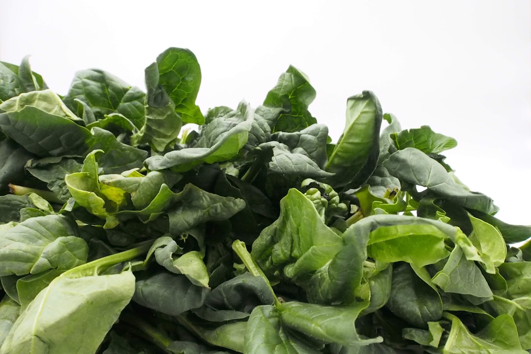 Nutrient Absorption Issues (image credits: unsplash)