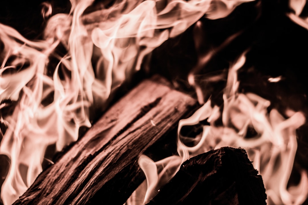 How Much Heat Can Plastic Bowls Handle? (image credits: unsplash)