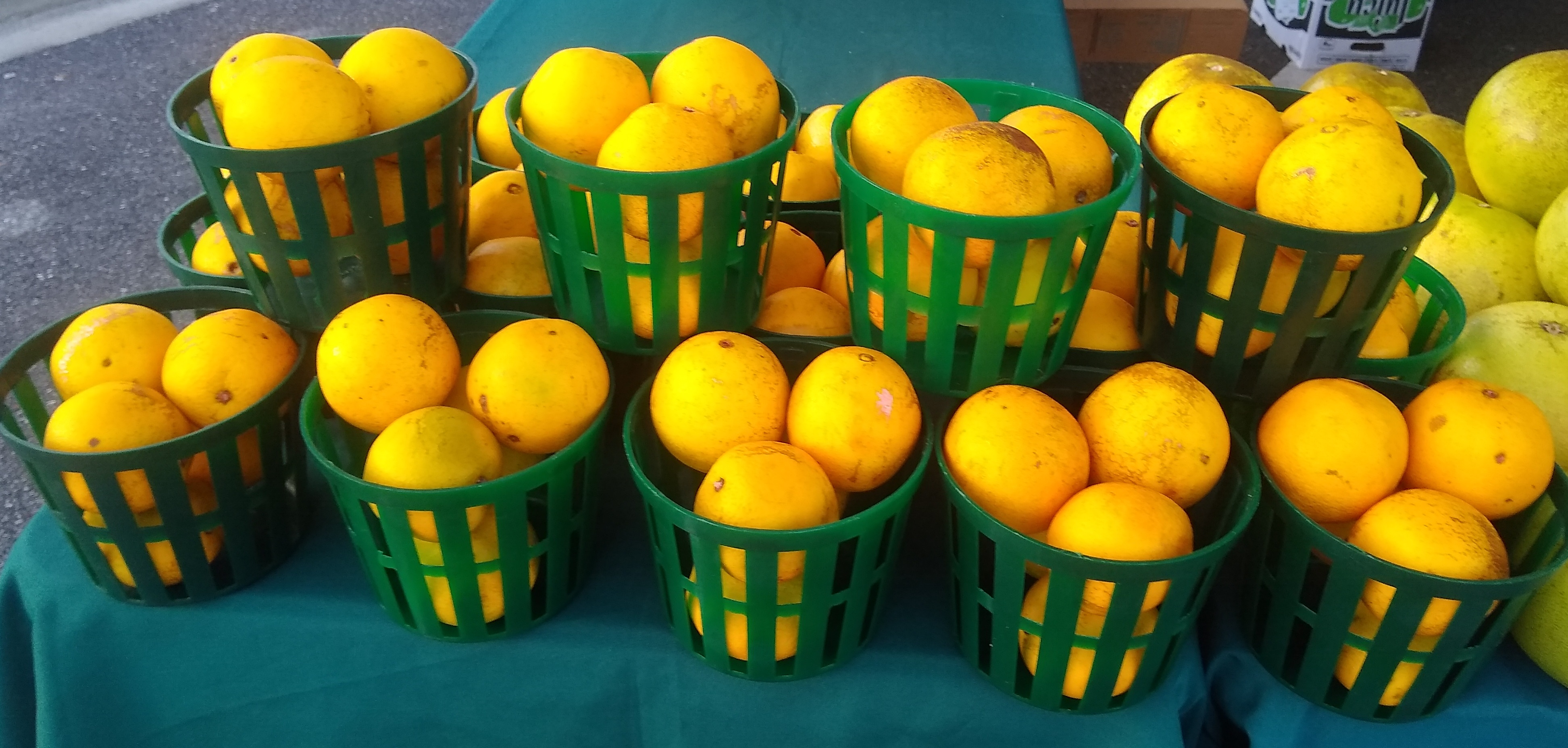 Oranges: Citrus Faces Squeezed Markets (image credits: wikimedia)