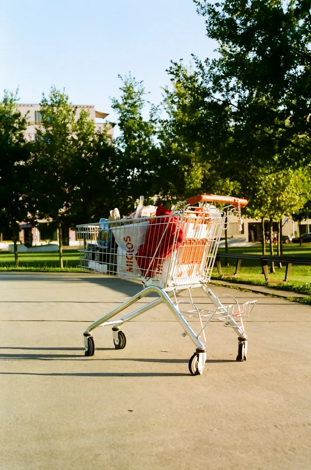 Shopping Cart Sizes Keep Growing for a Reason (Image Credits: Unsplash)
