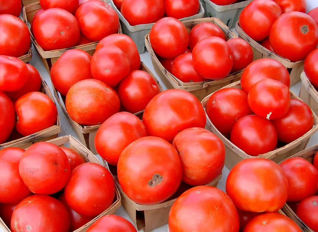 The Science Behind Lycopene and Skin Protection (krossbow, Flickr, CC BY 2.0)