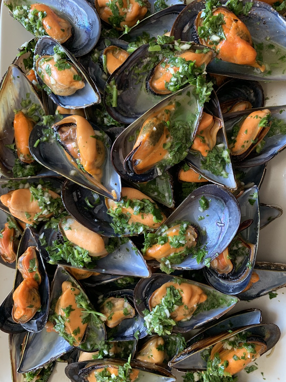 Seafood: A Coastal Abundance (image credits: pixabay)