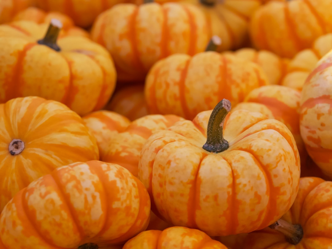 Pumpkin Hummus with Spooky Dippers (image credits: unsplash)