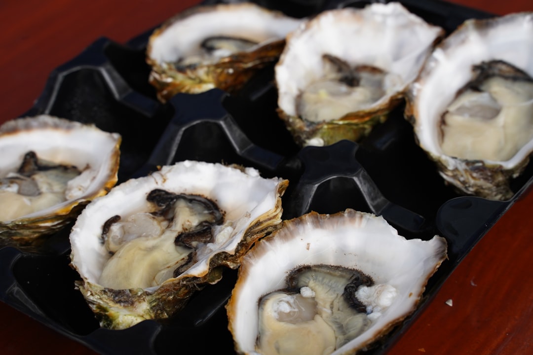Oyster Awkwardness (image credits: unsplash)