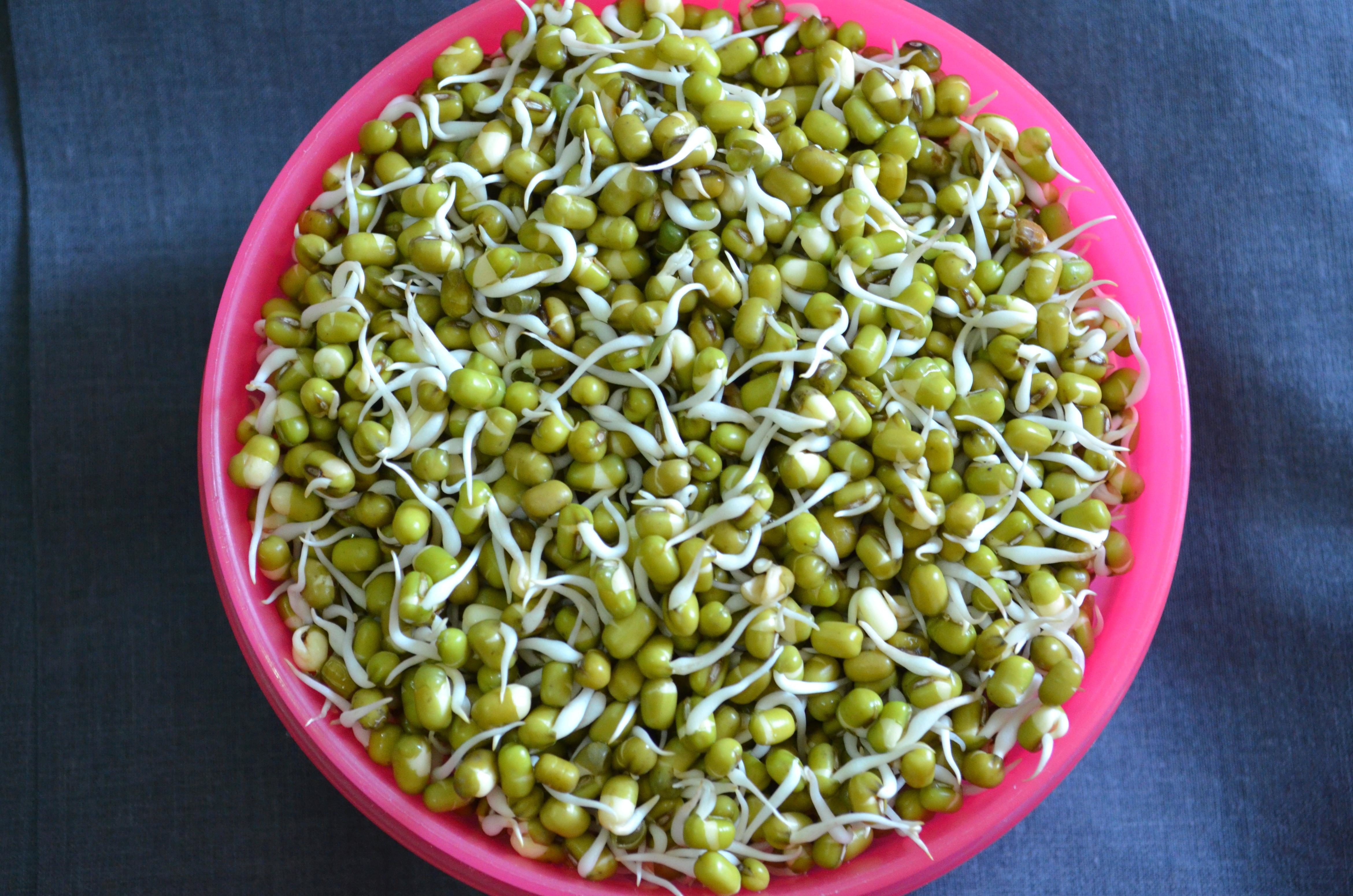 Enjoy Legumes (image credits: wikimedia)