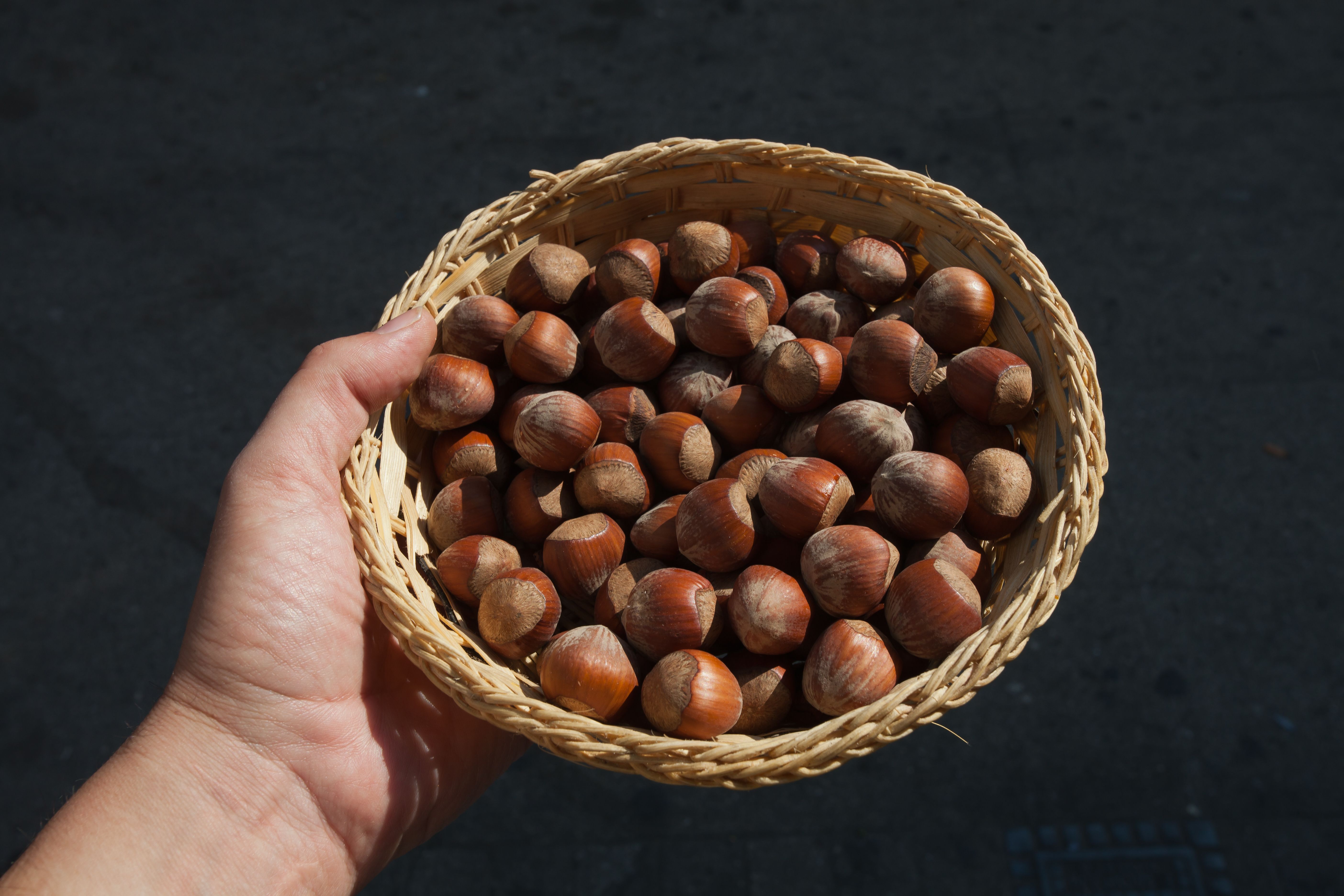 5. Hazelnuts: The Heart-Healthy Treat (image credits: wikimedia)