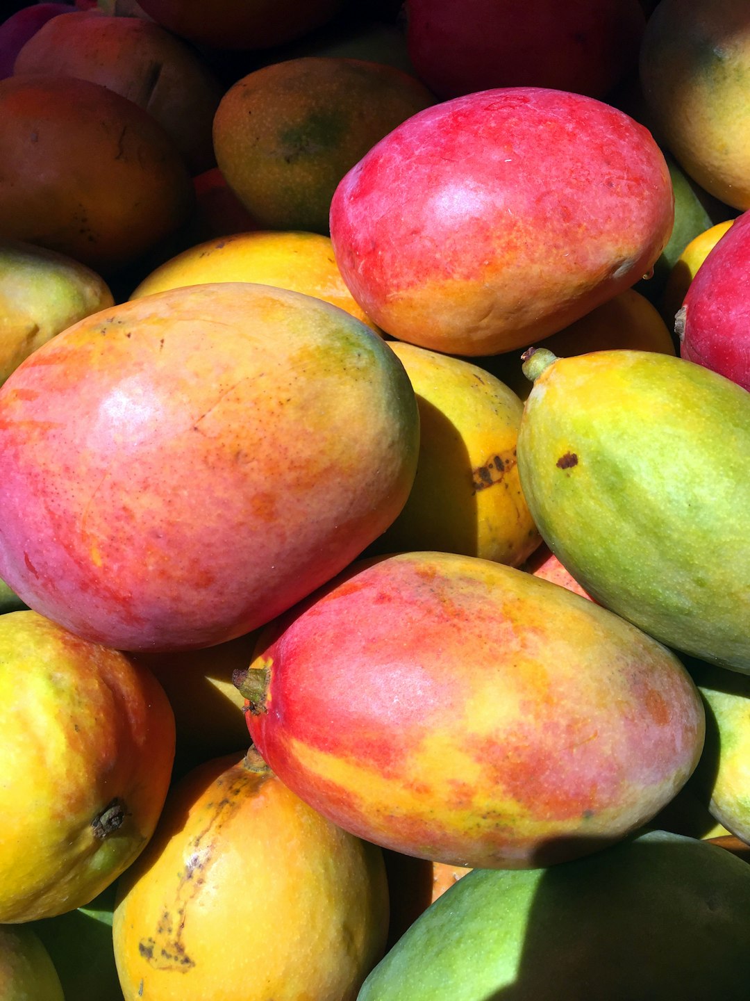 Mangoes: Tropical Treats with a Sugar Surge (image credits: unsplash)