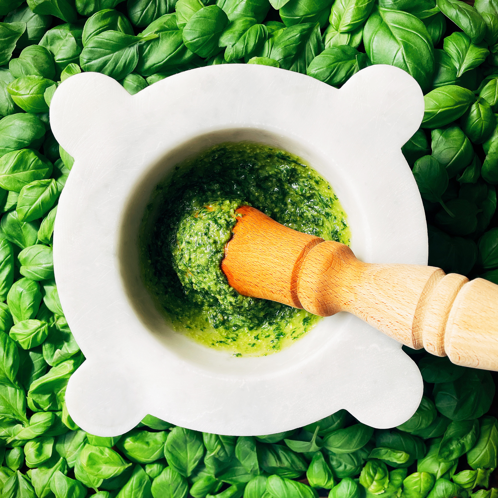 Basil's Evolution into Mediterranean Pesto Culture (image credits: wikimedia)