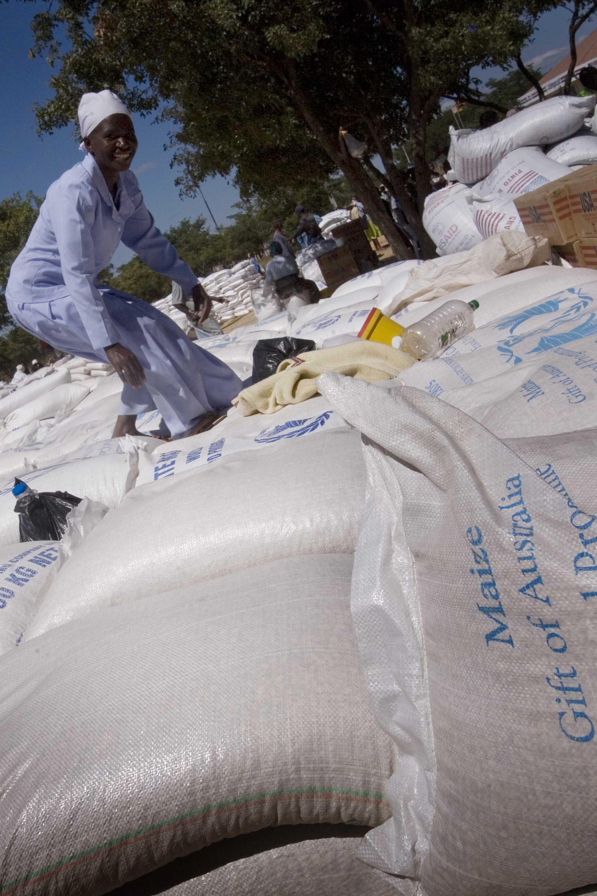 Food Aid: A Double-Edged Sword (image credits: wikimedia)
