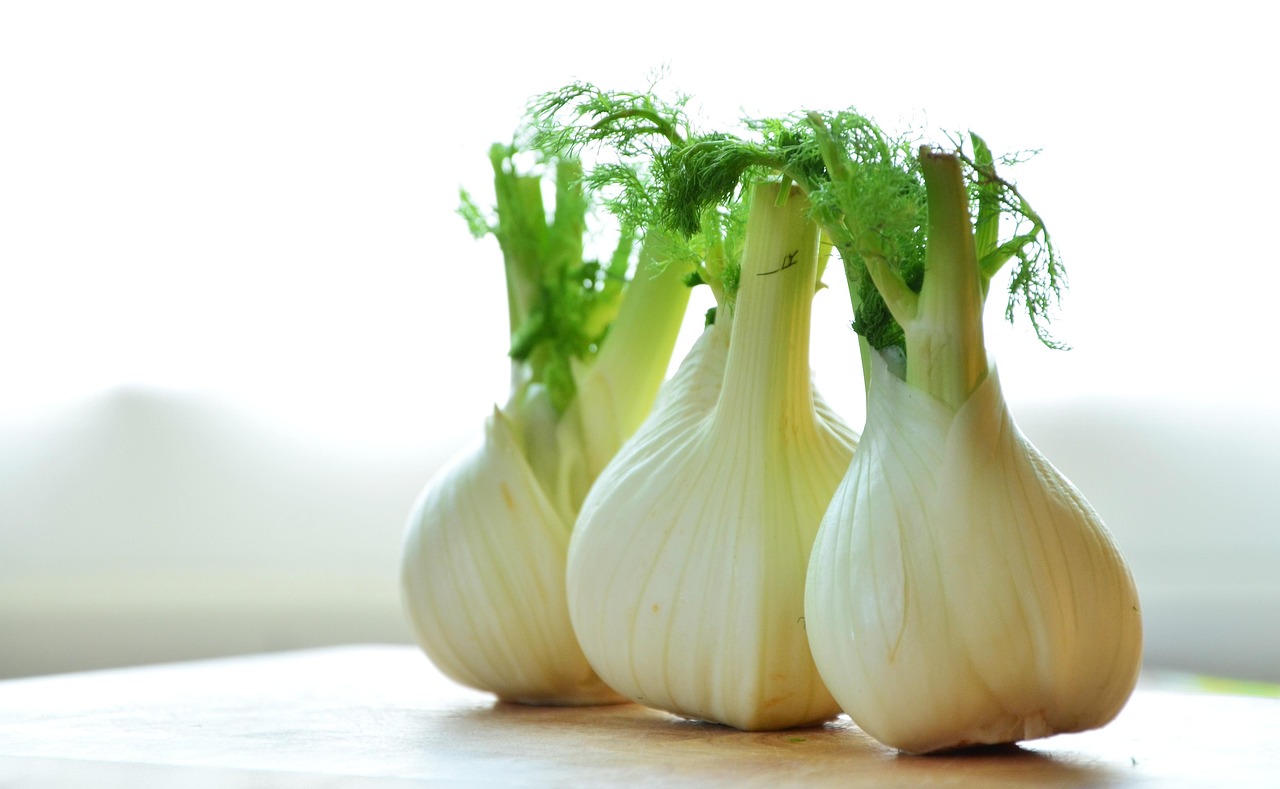 Fennel (image credits: pixabay)