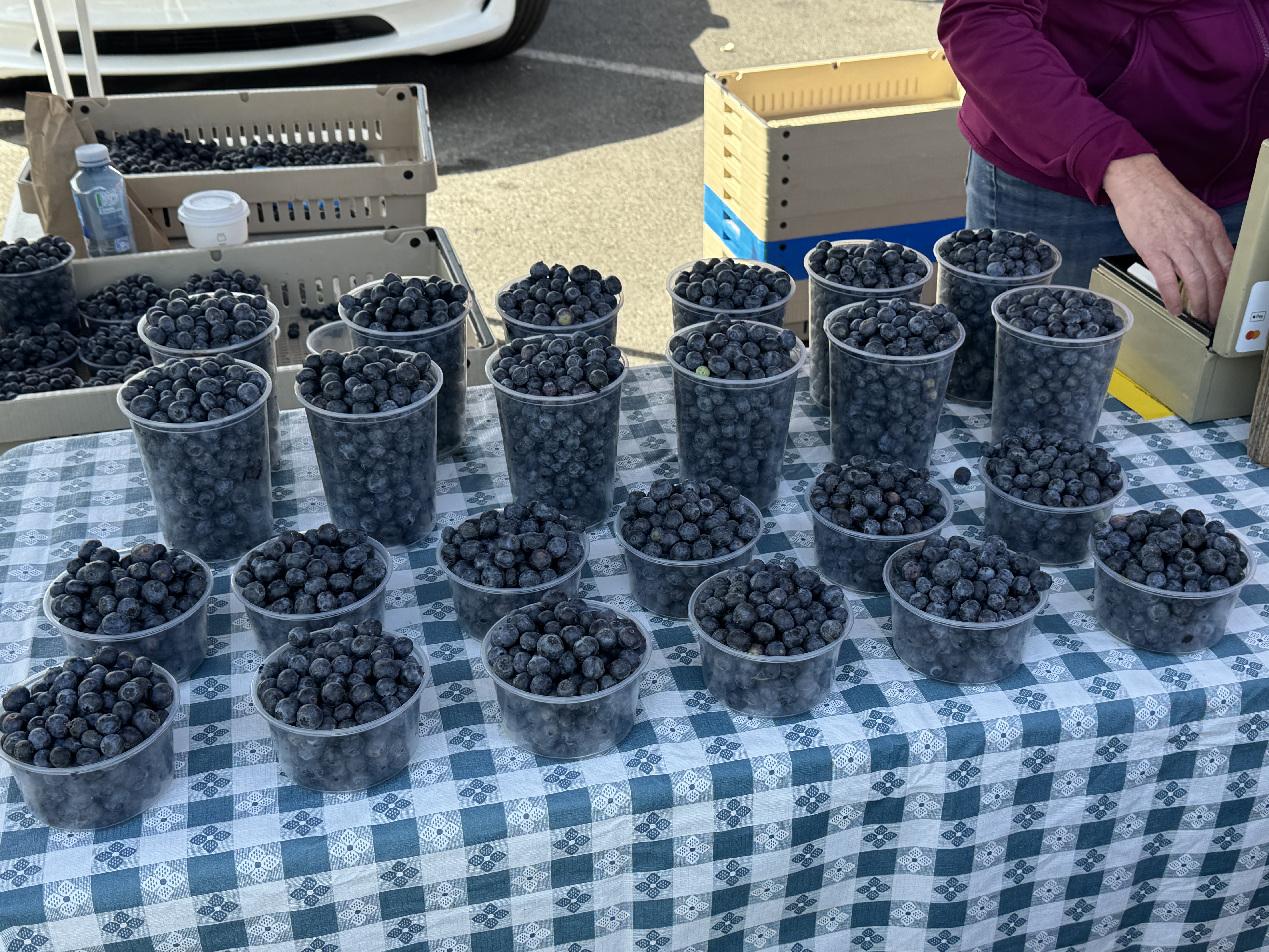 Support from Agricultural Organizations (image credits: wikimedia)