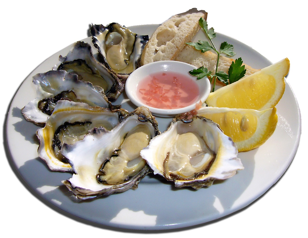 Oysters: The Ocean’s Iron-Rich Secret (image credits: pixabay)