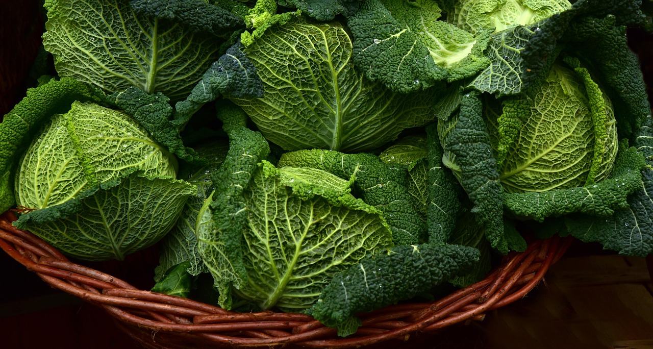 Leafy Greens (image credits: pixabay)