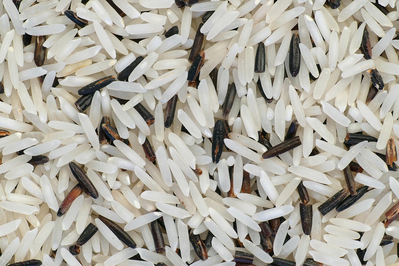 Wild Rice: Not Actually Rice But Nutritionally Superior (image credits: pixabay)