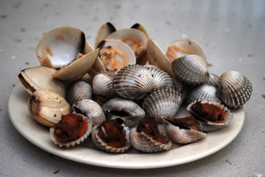 3. Blood Clams and Raw Shellfish (Image Credits: Flickr)