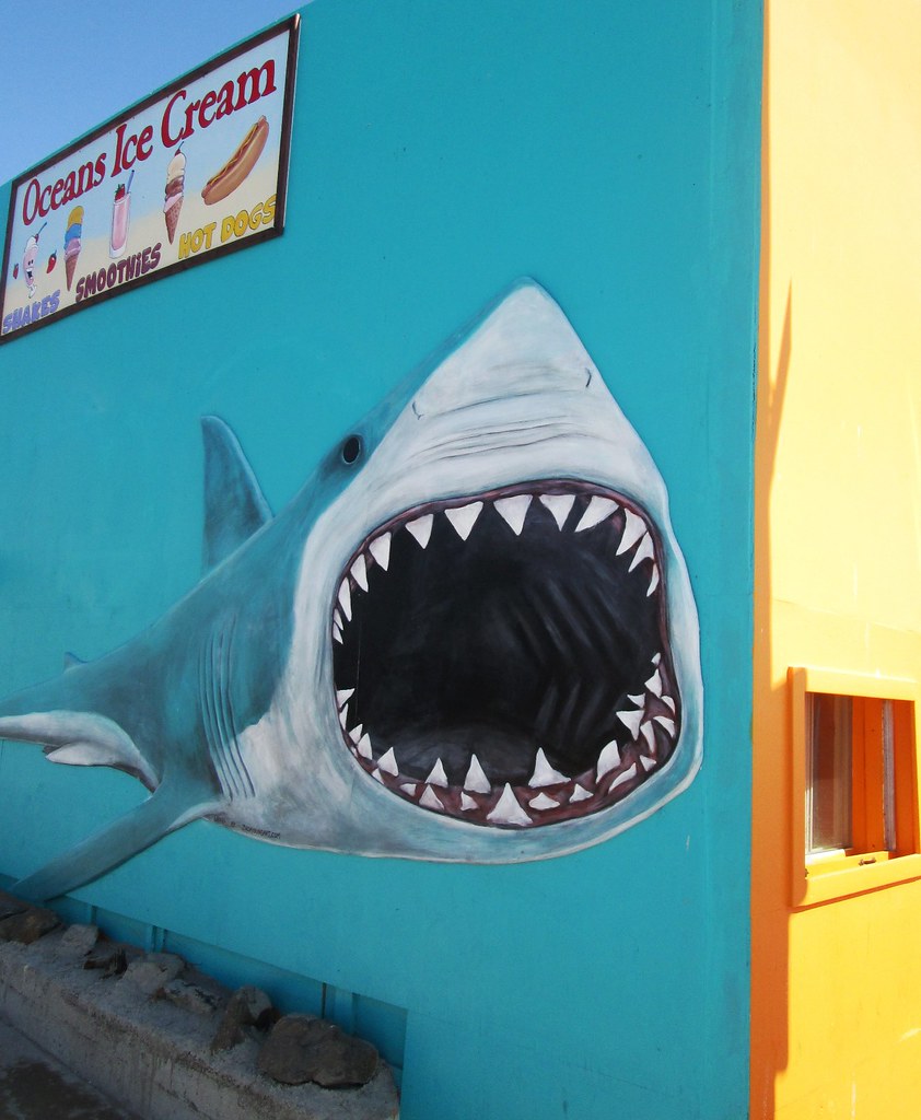 The Great White: Shark Attack in Your Freezer (Image Credits: Flickr)