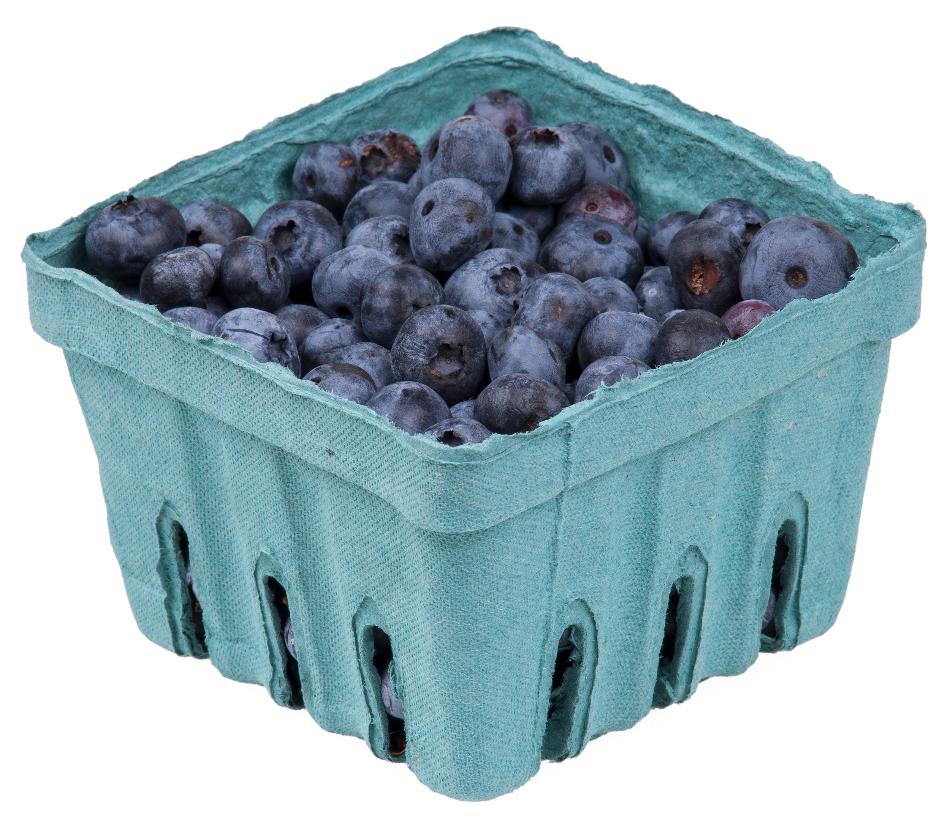 Blueberries (image credits: wikimedia)