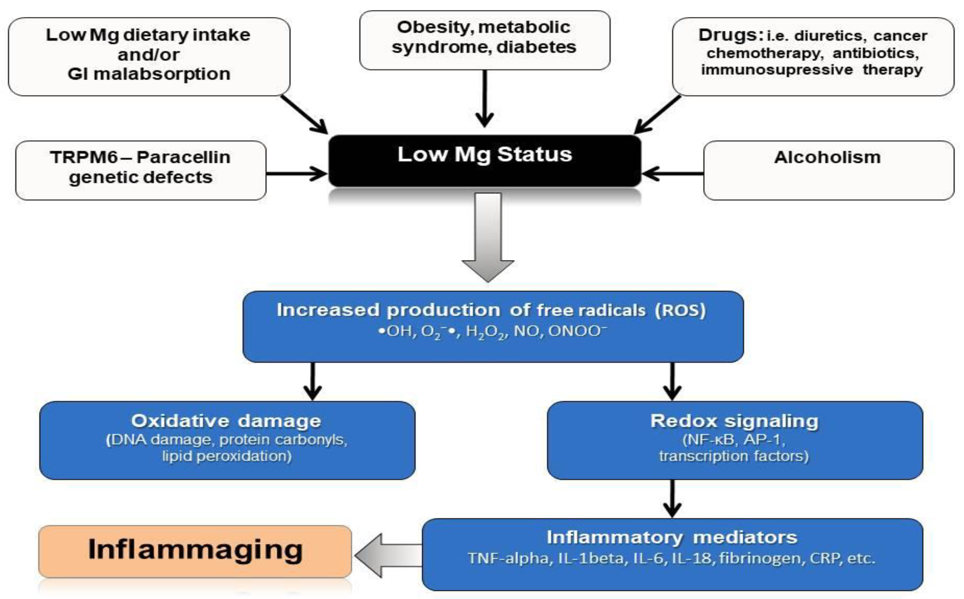 The Diabetes Connection That's Often Overlooked (image credits: wikimedia)