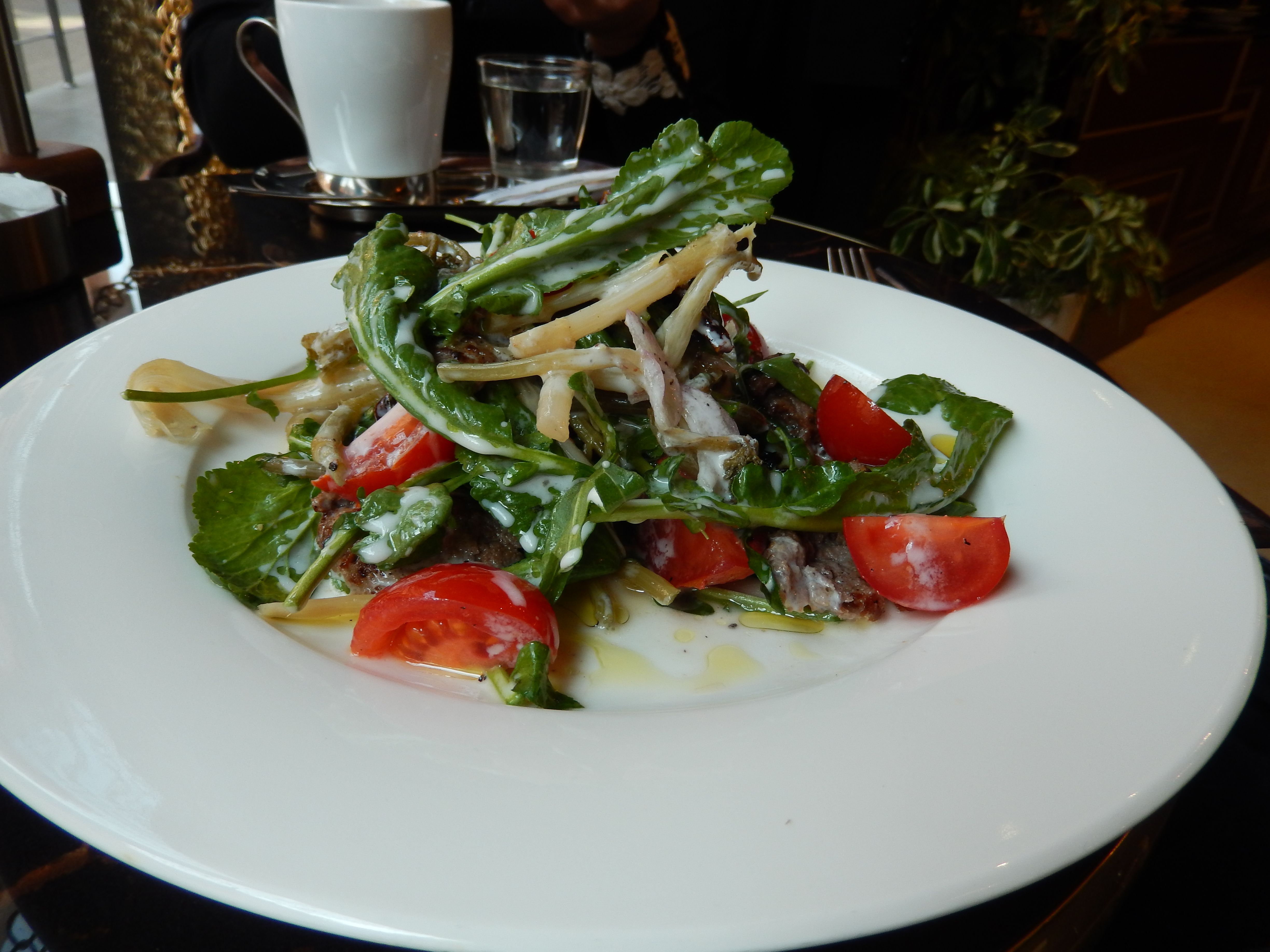 Warm Salads Challenge Traditional Boundaries (Image Credits: Wikimedia)