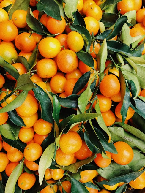 5. Oranges: Citrus Energy Boosters (image credits: pexels)