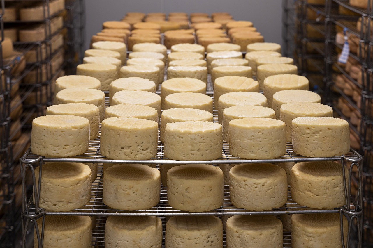 Cheese: The Protein That Saved Medieval Monasteries (image credits: pixabay)