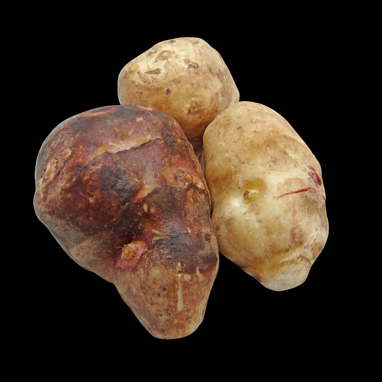Jerusalem Artichokes: The Forgotten Superfood (Image Credits: Pixabay)