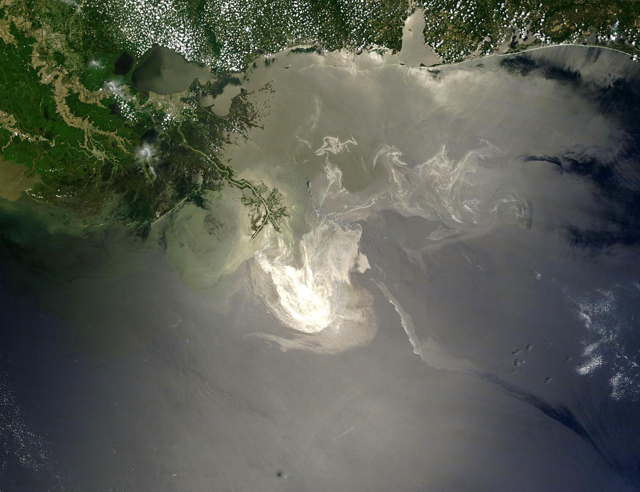 Environmental Impact: More Than Just a Kitchen Issue (image credits: wikimedia)