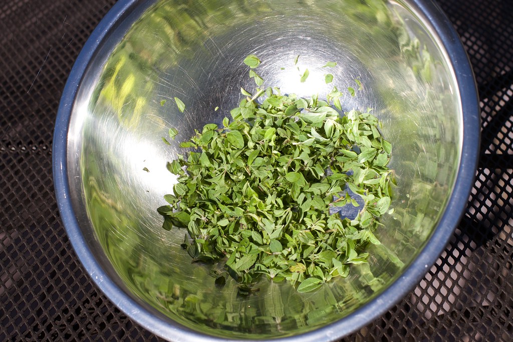Dried Oregano Becomes Mere Green Dust (image credits: flickr)