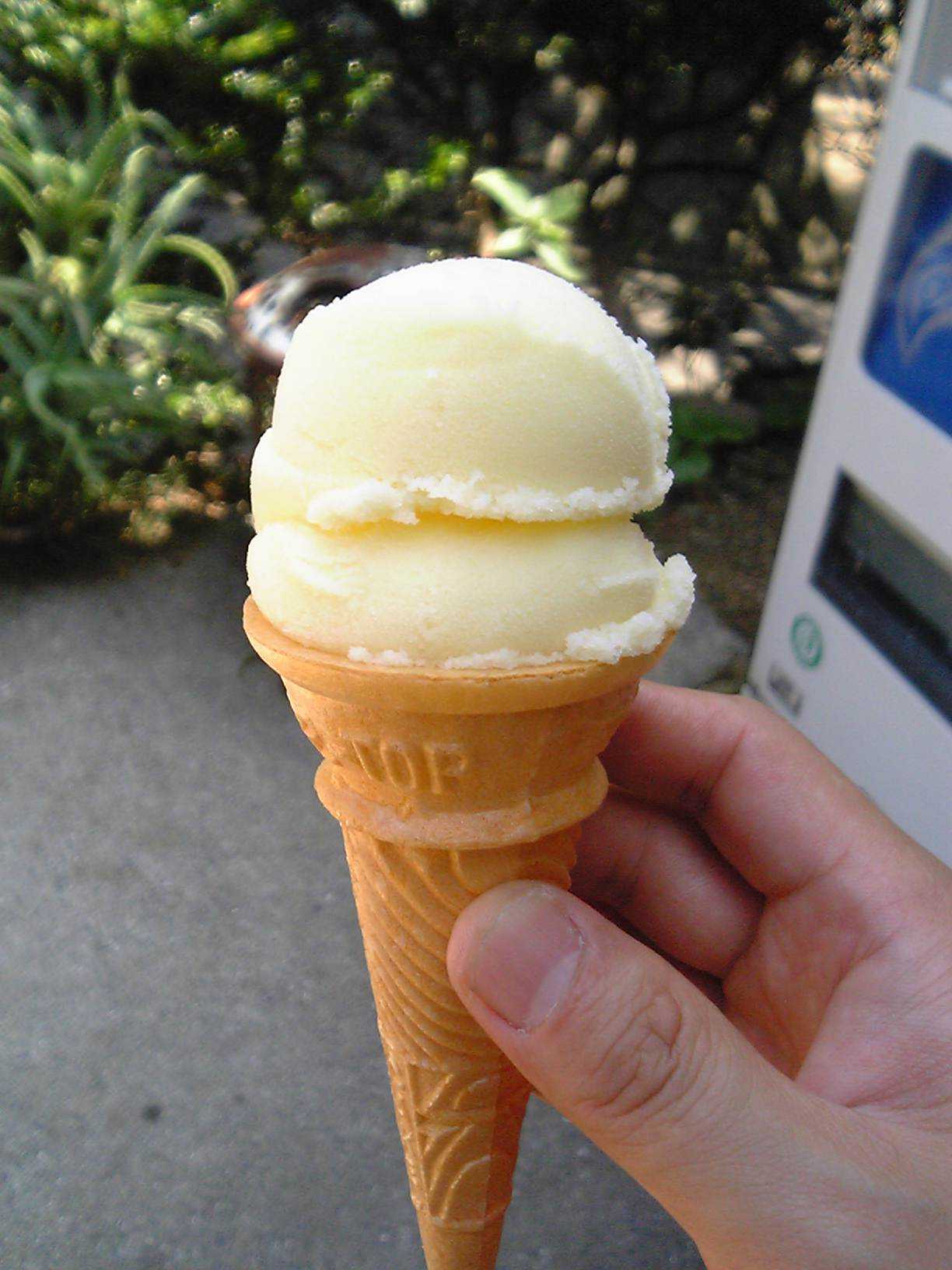Low-Fat Dairy Ice Cream (image credits: wikimedia)